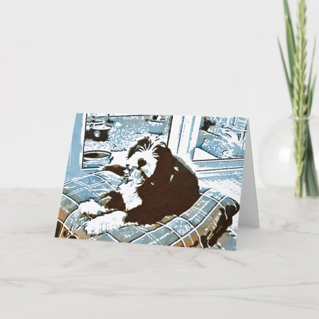 Beared Collie Valp Greeting Card Kort (Framsida)