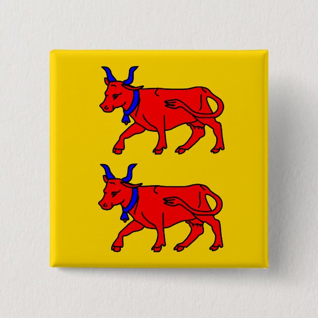 Bearn frankrikeflagga knapp (Framsida)