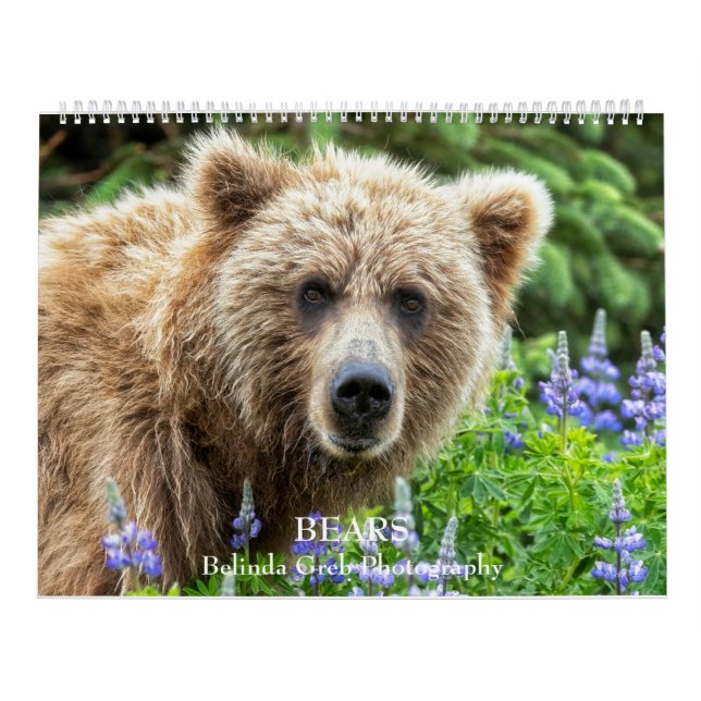 BEARS - Belinda Greb Photography Kalender (Omslag)