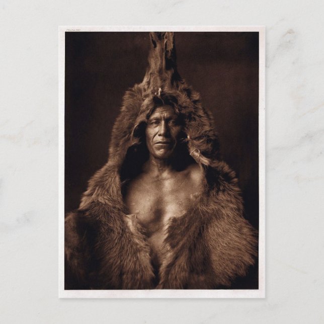 Bears Belly - Vintage Vykort (Framsida)