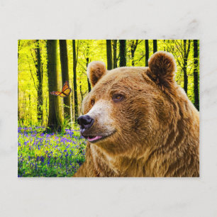 "Bear's Delight" Vykort