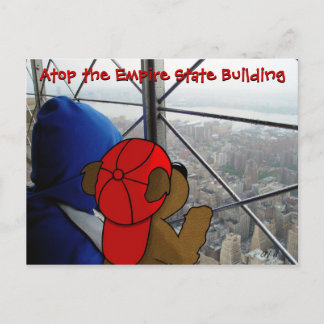 'Bear's Dizzying View' NY-vykort Vykort
