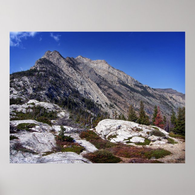 Bears Hump I Poster (Framsidan)