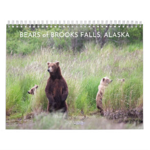 Bears of Brooks Falls - 2021 Calendar Kalender