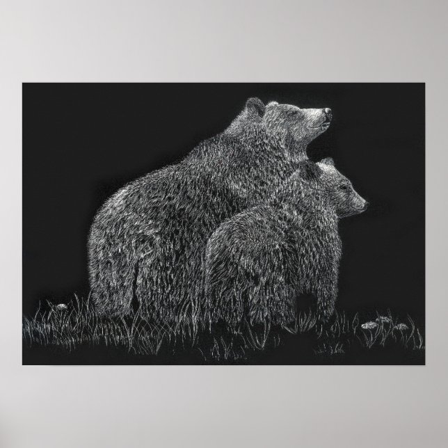 Bears Wildlife Nature Teckning Black White Poster (Framsidan)