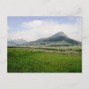 Beartooth Butte Vykort