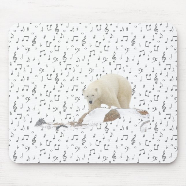 beary musikal musmatta (Framsidan)