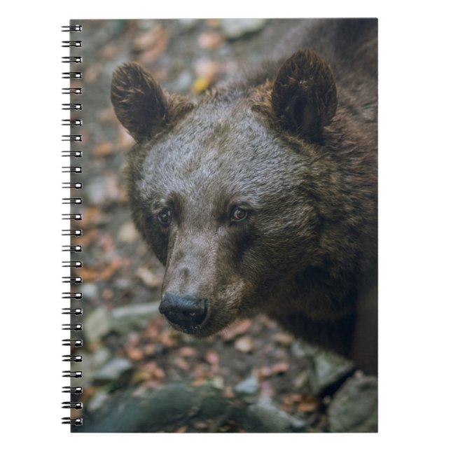 BEARY THOUGHTS ANTECKNINGSBOK (Framsidan)
