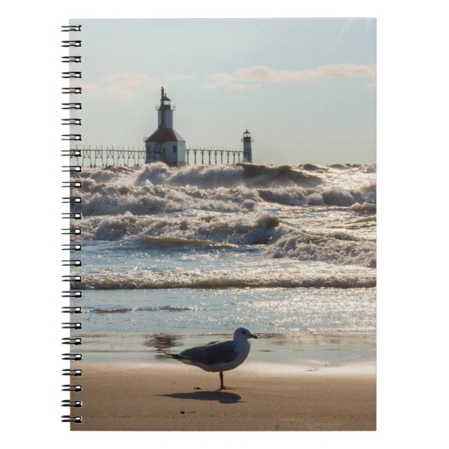 Beasig och forcerad bärbar dator anteckningsbok (Framsidan)