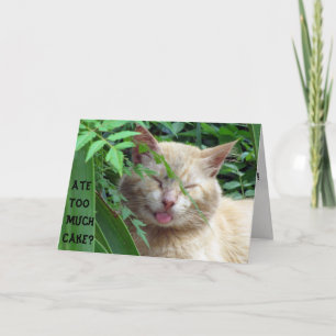 Beastens födelsedagskort kort