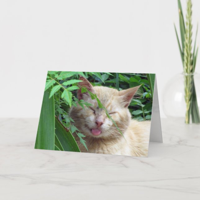 Beastens gratulationskort kort (Framsida)