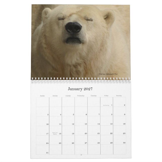 Beaster i en tätbefolkad stad - kalender (Jan 2027)