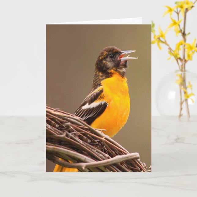 Beat Cancer Oriole Kort (Gul blomma)