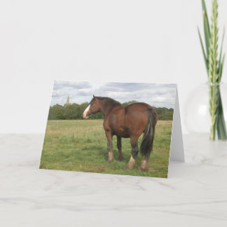 Beatrice - Shire Horse Greeting Card Kort