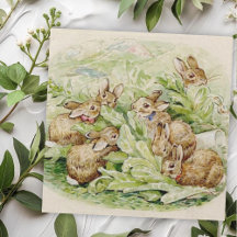Beatrix Potter Berättelse om de luddiga kaninerna