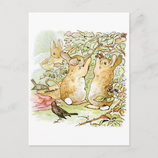 Beatrix Potter, Bunnies, Raspberry Bush, Birds Vykort (Framsida)