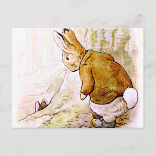 Beatrix Potter - Bunny Illustration Vykort (Framsida)