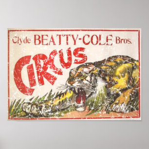 Beatty Cole Circus - 1903 - nödlidande Poster