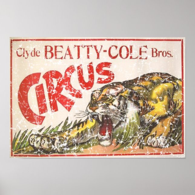 Beatty Cole Circus - 1903 - nödlidande Poster (Framsidan)