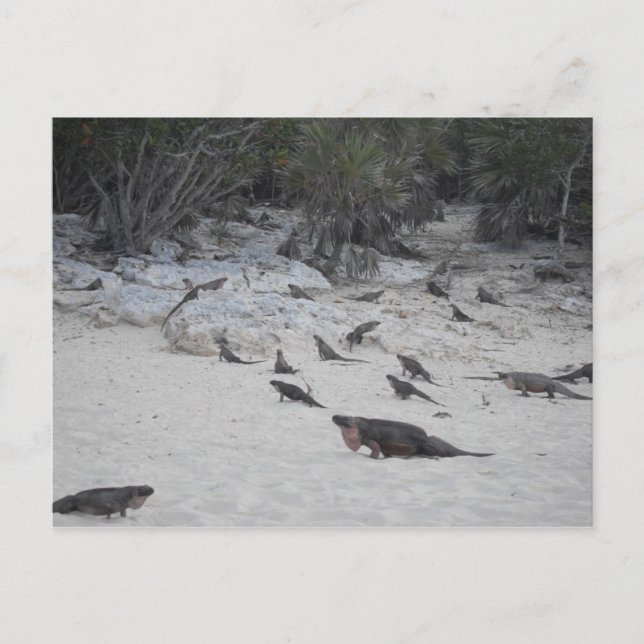 Beau Bahamas vykort (Framsida)