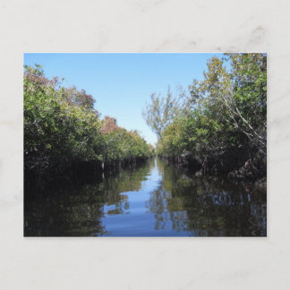 Beau Florida Everglades Postcard Vykort