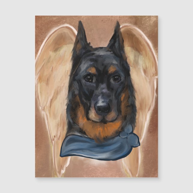 Beauceron (Framsida)