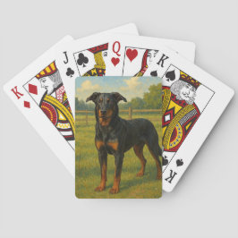 Beauceron Casinokort
