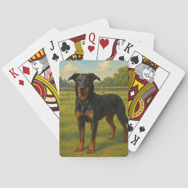 Beauceron Casinokort (Baksidan)
