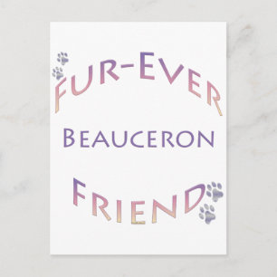 Beauceron Furever Vykort