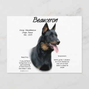 Beauceron Historia; Allt om Beauceron Vykort