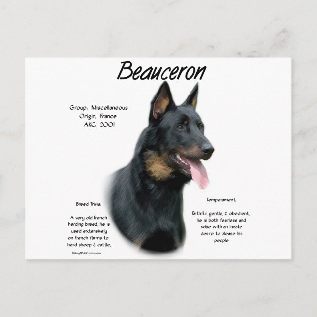 Beauceron Historia; Allt om Beauceron Vykort (Framsida)