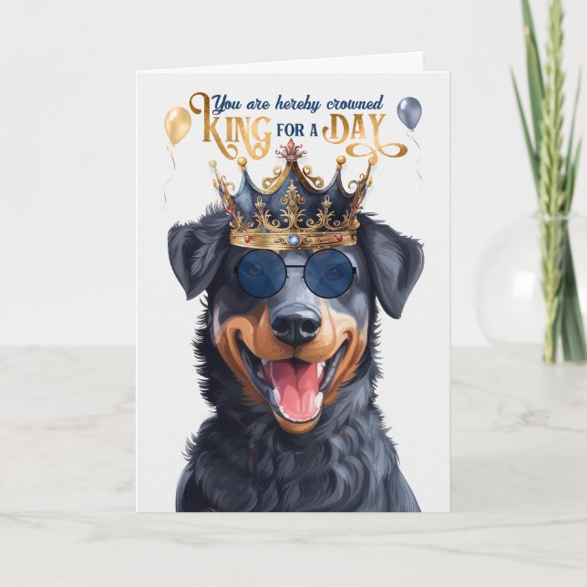 Beauceron Hund för dag Funny Birthday Kort (Framsida)