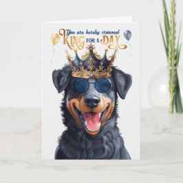 Beauceron Hund för dag Funny Birthday Kort