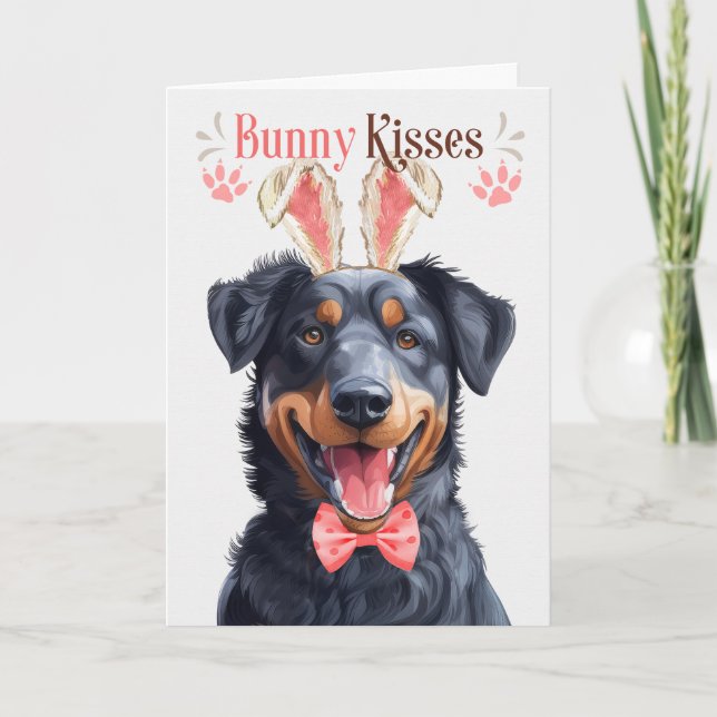 Beauceron Hund i Bunny Öron för Påsk Helgkort (Framsida)