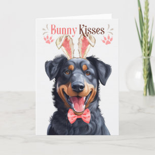 Beauceron Hund i Bunny Öron för Påsk Helgkort