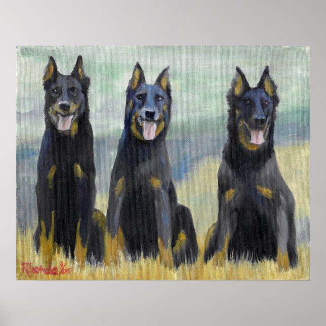 Beauceron Hund Porträtt Poster (Framsidan)