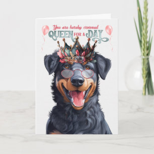 Beauceron Hund Queen for Day Funny Birthday Kort