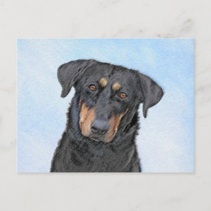 Beauceron-målning - Söt originell hundkonst Vykort