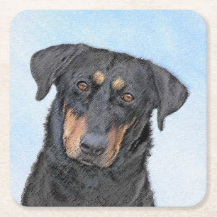 Beauceron Painting - Cute Original Hund Art Underlägg Papper Kvadrat