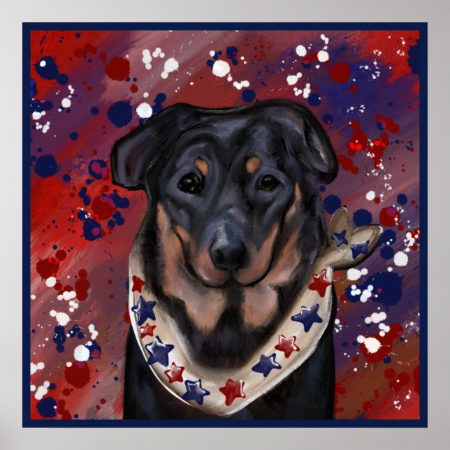 Beauceron Poster (Framsidan)