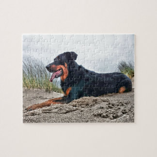 Beauceron Pussel