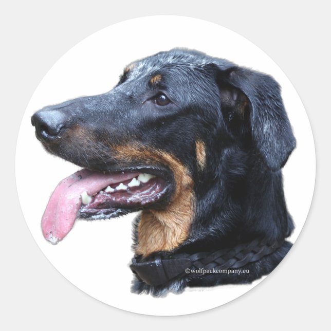 beauceron runt klistermärke (Framsida)