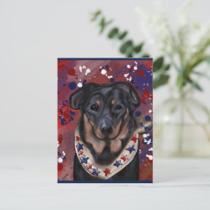 Beauceron Vykort