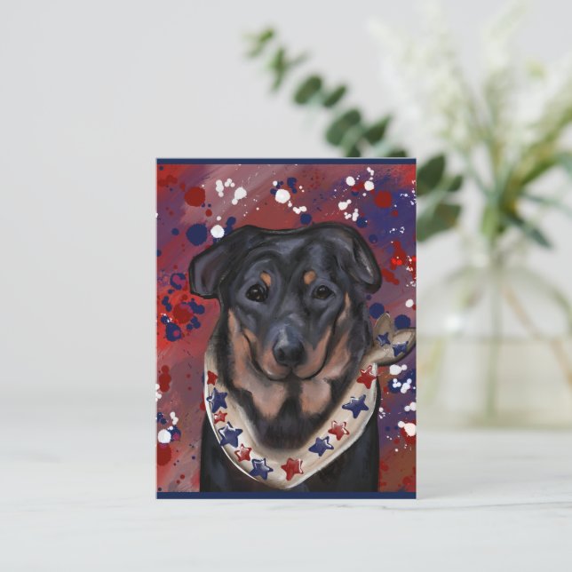 Beauceron Vykort (Stående Fram)