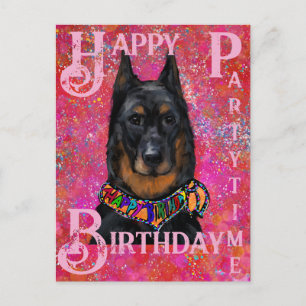 Beauceron                       vykort