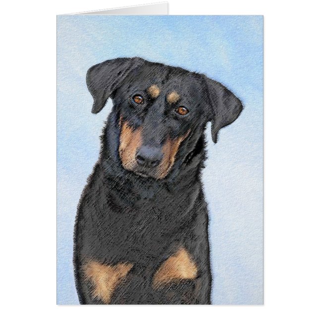 Beauceronfärgning - Cute Original Hund Art Hälsningskort (Framsidan)
