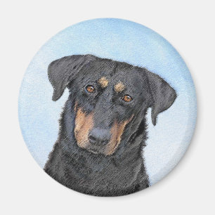 Beauceronfärgning - Cute Original Hund Art Magnet