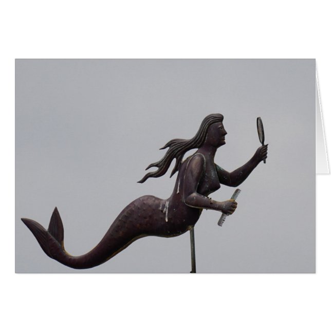 Beaufort väder Forcast Hälsningskort (Framsidan Horizontal)