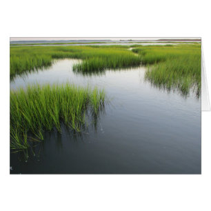 Beaufort's Backyard OBS Kort