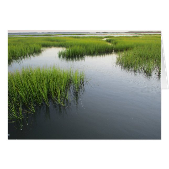 Beaufort's Backyard OBS Kort (Framsidan Horizontal)